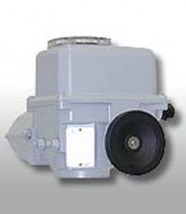 OA-small